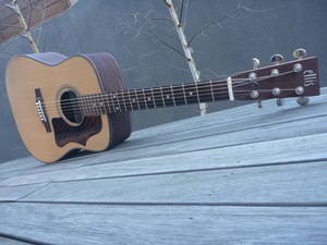 ellis guitars standard models dreadnought acoustic guitar