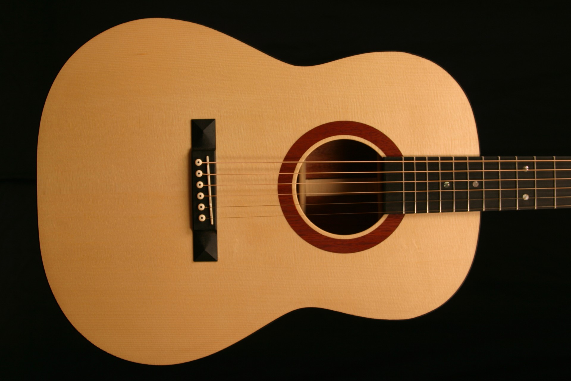 egmond acoustic guitar models